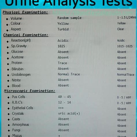 urine test results explained